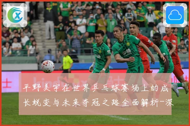平野美宇在世界乒乓球赛场上的成长蜕变与未来夺冠之路全面解析-深度解析