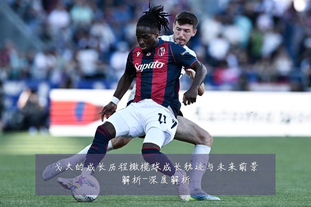 戈夫的成长历程橄榄球成长轨迹与未来前景解析-深度解析